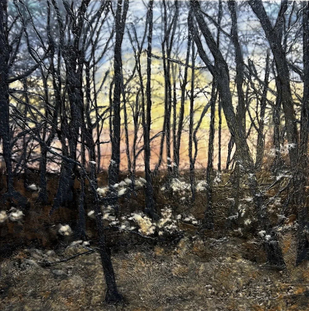 Fine Art — Bainbridge Art LLC